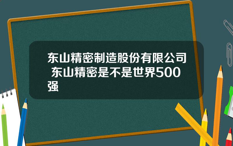 东山精密制造股份有限公司 东山精密是不是世界500强